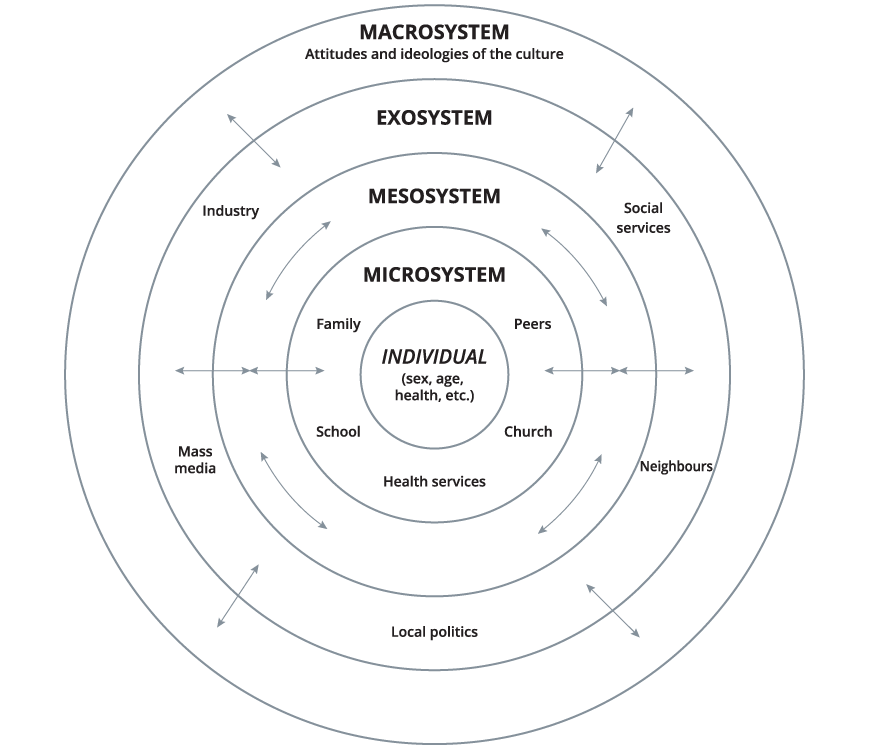 A circular diagram on Bronfenbreeners ecological theoru of development which is circle representing a different part of tge theory