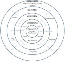 Ecological and Contextual Analysis of Wellbeing in Your Context ...