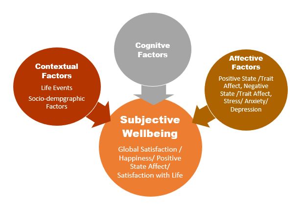 Diagram showing factors on subject wellbeing which includes contextual factors such as life events, cognitive factors and affective factors such as depression