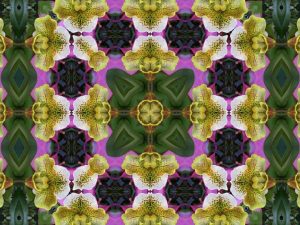 kaleidoscope