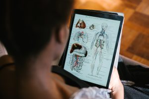 Woman on iPad looking at medical image