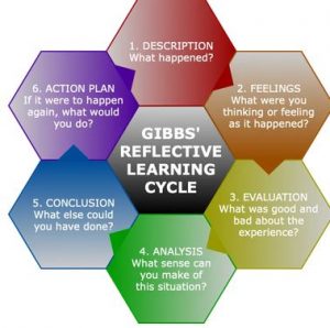 Gibb's reflective cycle of decription, feelings, evauation, analysis, action plan, cocnlusion