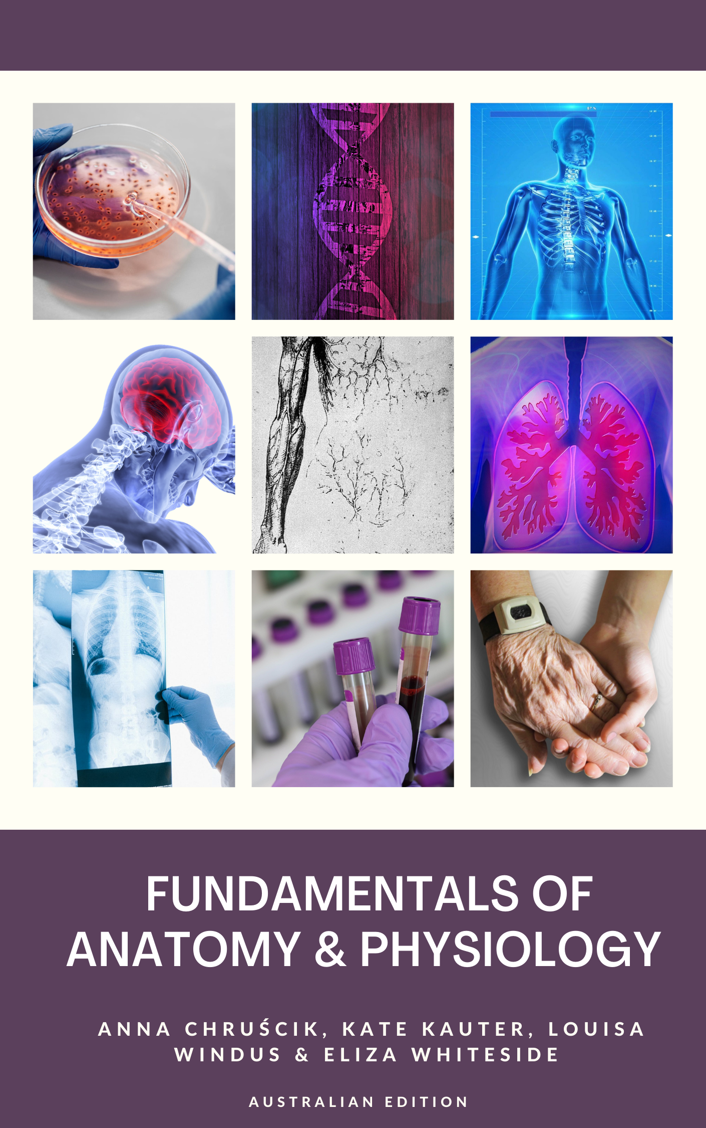 Cover image for Fundamentals of Anatomy and Physiology