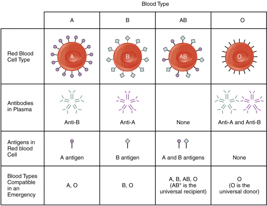 ABO blood groups in table