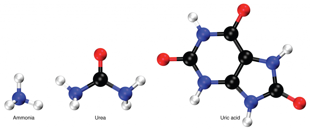 Nitrogen wastes.