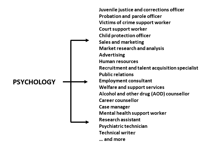 Examples of common jobs for three-year psychology graduates, including crime, justice, and corrections support workers, sales and marketing, employment and welfare services, social services, research, and technical writing.