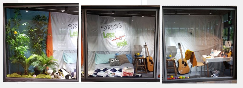 Ipswich Library window display for Stress Less Week 2020