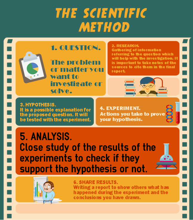 Inforgraphic showing parts of scientific method including question, research, analysis