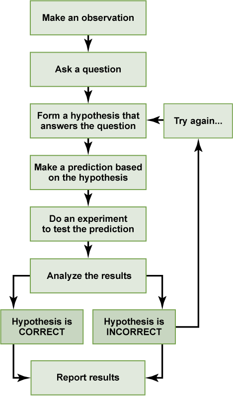 Flow chart of scientifc method from forming question, testing hypothesis and the cyclic nature of whether the hypothesis is true or false and trying again