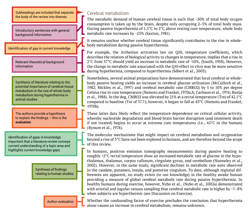 Annotated body of literature review with following comments annotated on the side: subheadings are included to separate body of review into themes; introductory sentences with general background information; identification of gap in current knowledge; relevant theoretical background information; syntheis of literature relating to the potential importance of cerebral metabolism; an evaluation; identification of gaps in knowledge; synthesis of findings related to human studies; author evaluation
