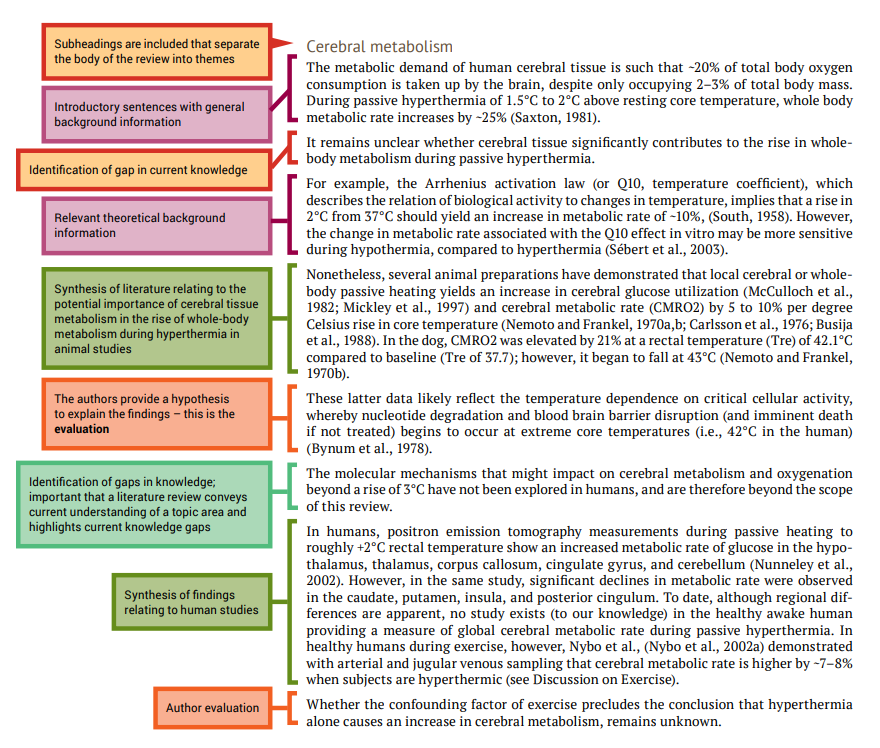 what is body in literature review