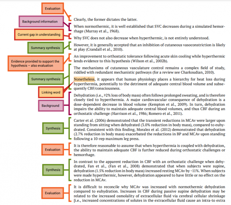 literature review example masters