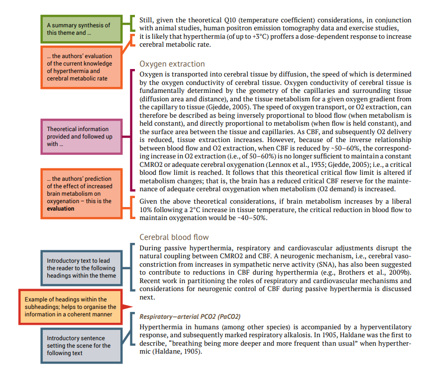 Annotated body of literature review with comments on the side including: a summary synthesis; author's evaluation of the current knowledge, theoretical information; the author's prediction; introductory text to lead reader to next theme