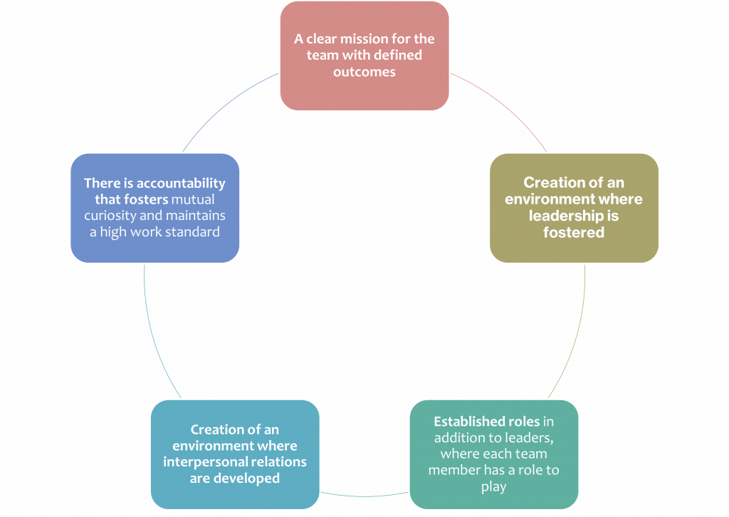 Diagram of what makes a team - including mission, leadership and established roles