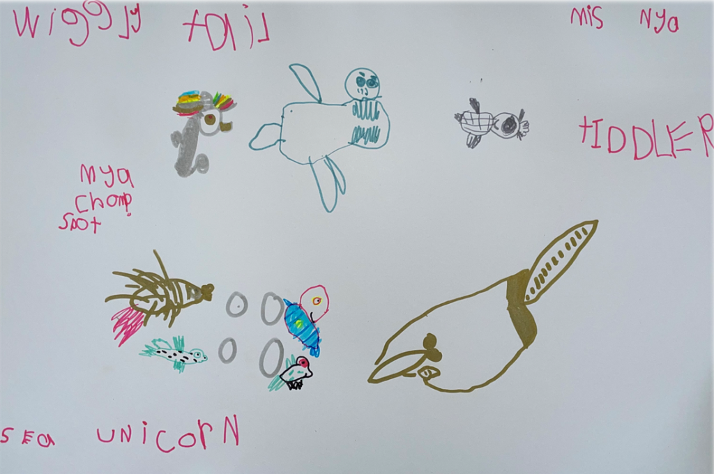 child's coloured drawings of sea creatures and story characters