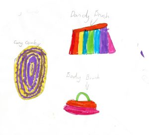Child's colourful drawings of a curry comb, dandy brush and body brush