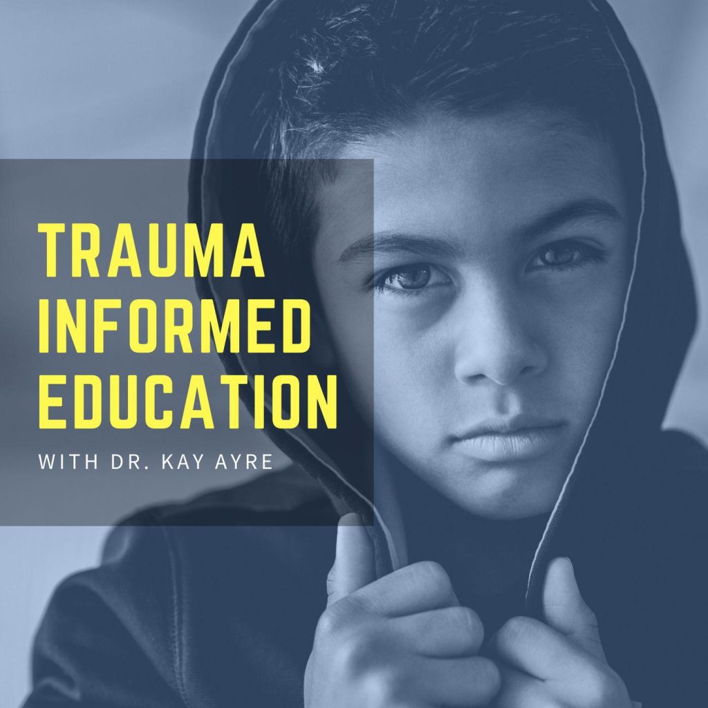 Infographic for Truama Informed Education podcast