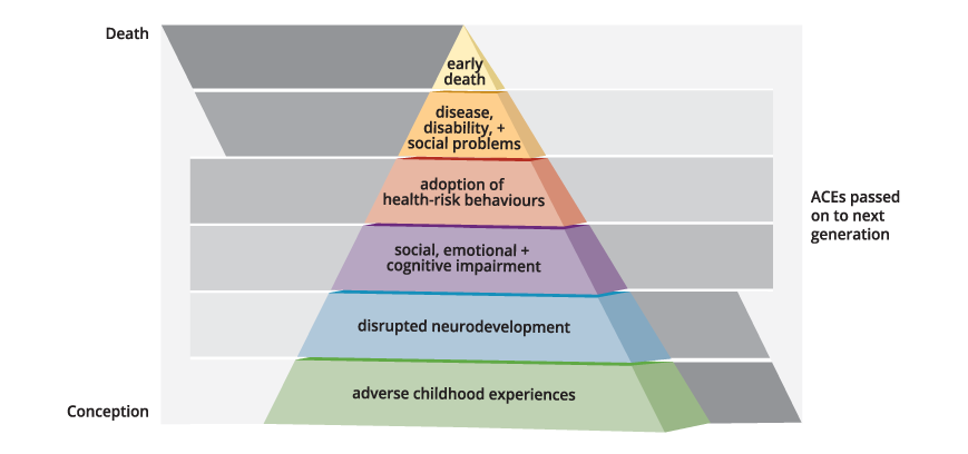 ACE Intergenerational Transmission Pyramid from conception to death. From bottom to top it says: adverse childhood experiences, disrupted neurodevelopment, social, emotional and cognitive impairment, adoption of health-risk behaviours, diseases, disability and social problems, and early deaht.