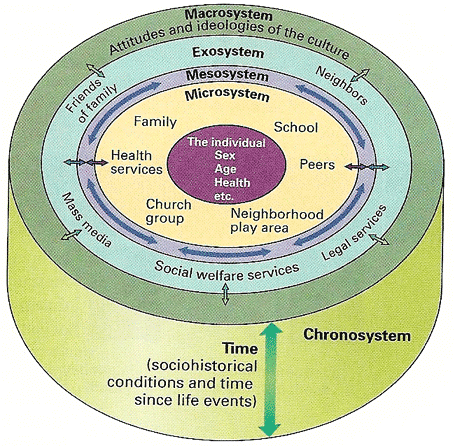 Bronfenbrenner's social ecological model