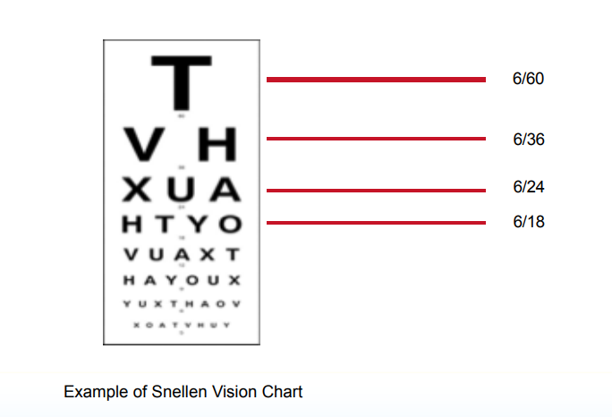 6 18 Vision Chart