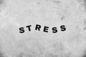 The word stress