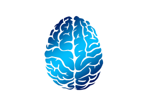 A decorative image of a brain viewed from above.