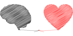 A decorative image of a connected heart and brain.