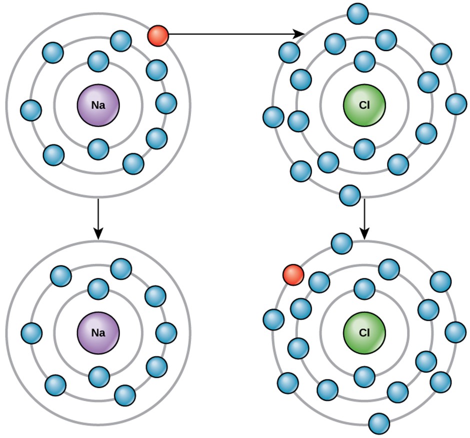 Diagram showing elements tend to fill their outermost shells with electrons