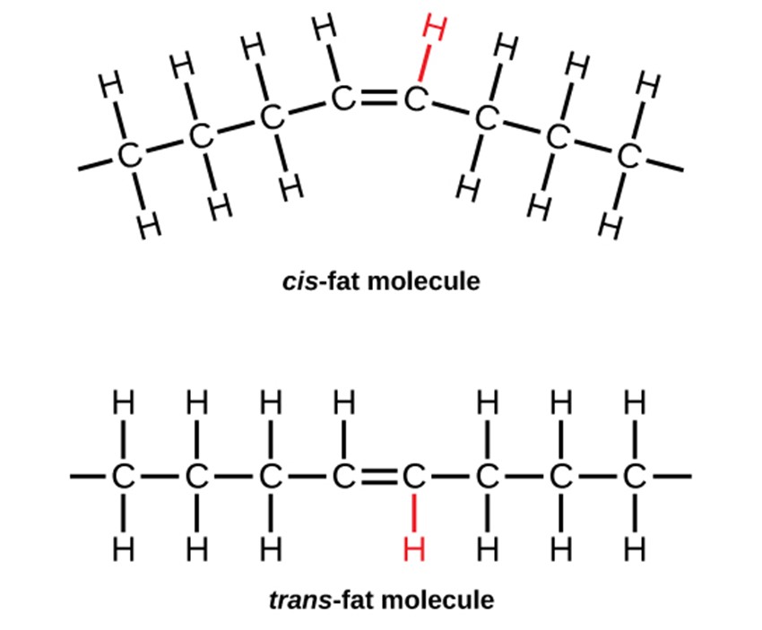 Diagram of cis-fat molecule and trans fat molecule represented by H being on top of C for cus-fat molecule but below c for trans-fat molecule