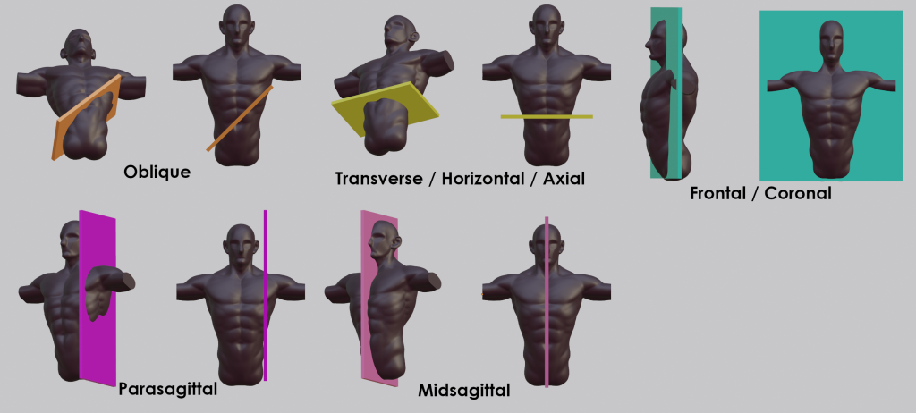 Diagrams representating the following planes on body: oblique, transverse/horizontal/axial, frontal/coronal/parasagittal, and midsagittal
