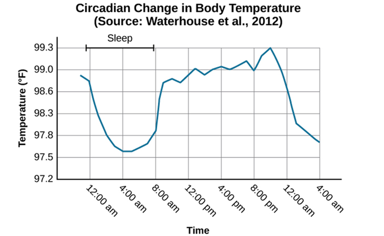 This chart illustrates the circadian change in body temperature over 28 hours in a group of eight young men. Body temperature rises throughout the waking day, peaking in the afternoon, and falls during sleep with the lowest point occurring during the very early morning hours.